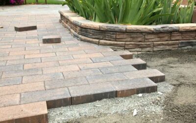 Can Pavers Survive St. Louis Winters? | Local Durability Insights