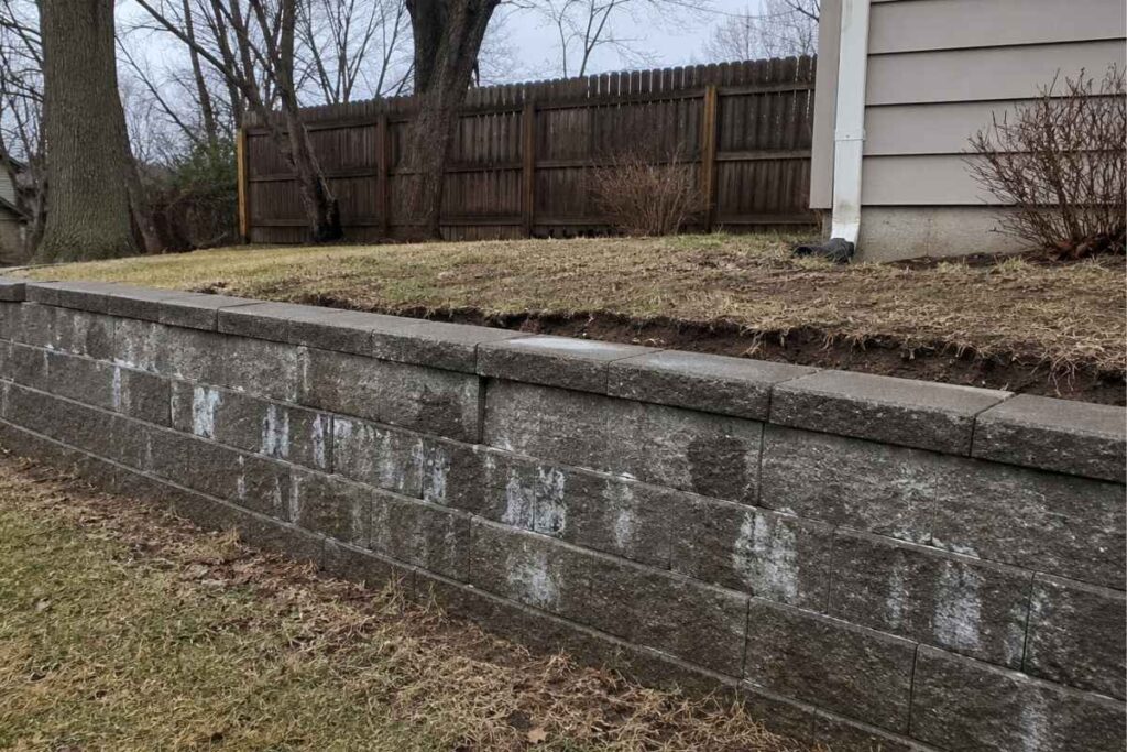 Leaning segmental retaining wall with white efflorescence streaks on face and soil settlement behind the top, indicating drainage system failure