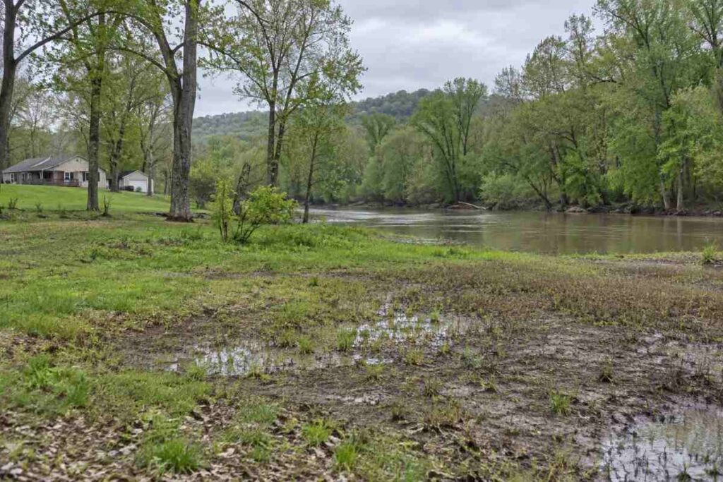 Flat Franklin County floodplain lot with silty ground beside a tree-lined river channel, showing high-water-table and flood-exposure cues.